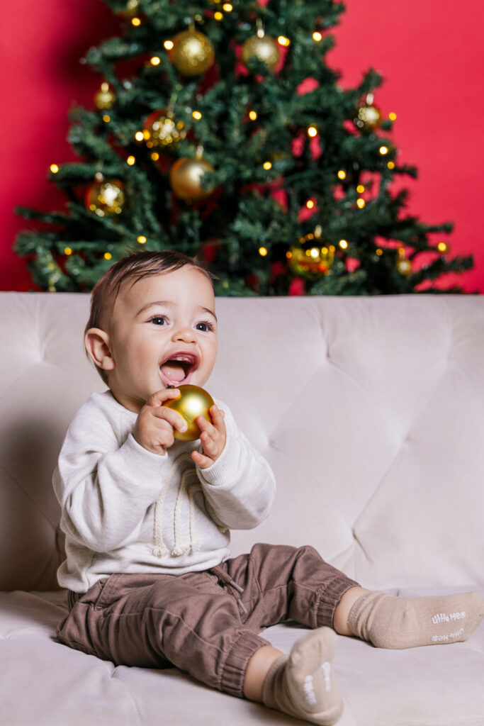 The Holiday Collective – Capture the Season in Style   